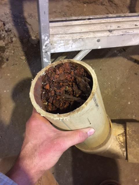 A clogged pipe